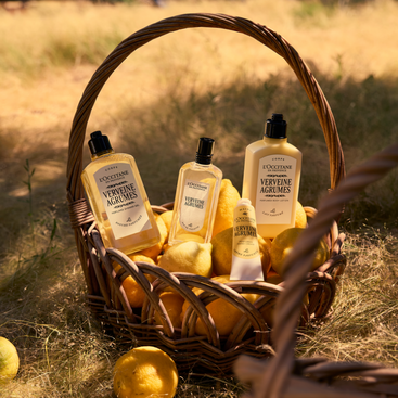 Verveine Agrumes (Citrus Verbena) Perfumed Body Lotion | L